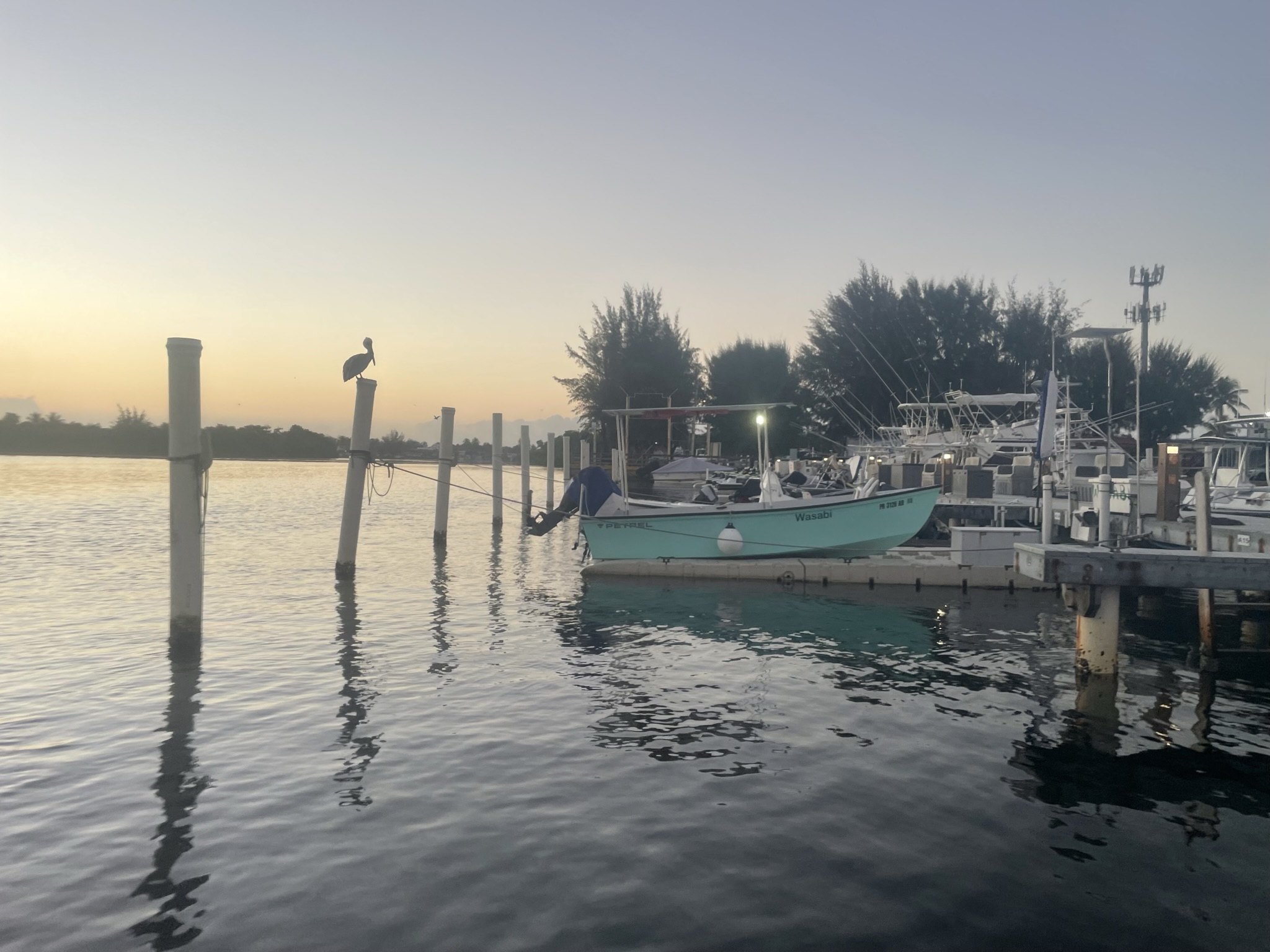 Permitting support in the Caribbean - OceanIQ